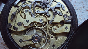 round gold-colored skeleton watch, clockwork HD wallpaper