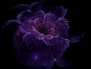 purple petaled flower, abstract, fractal, black background, fractal flowers