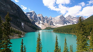 green leafed tree, nature, mountains, Canada, landscape