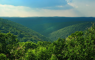 green mountain and forest during day time HD wallpaper