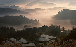 green mountains, nature, landscape, mist, valley HD wallpaper