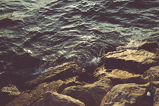 seawaves and rocks