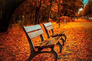 two brown wooden bench HD wallpaper