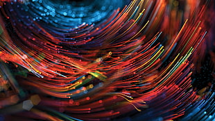 macro photography of red and blue strings HD wallpaper
