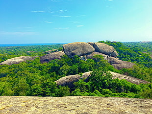brown rocks and green leaf trees, Sri Lanka, nature, rock, trees HD wallpaper