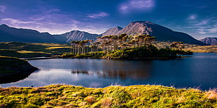 landscape photography of trees on island in lake near mountains under clear sky during daytime HD wallpaper