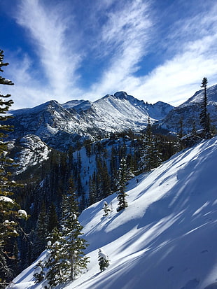 snow covered hill, mountains, snow, trees, Colorado HD wallpaper