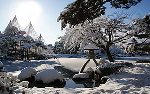 snow with tree