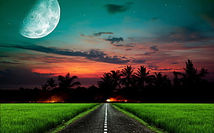 concrete highway between green grass and palm trees digital wallpaper, landscape, nature, digital art, Moon