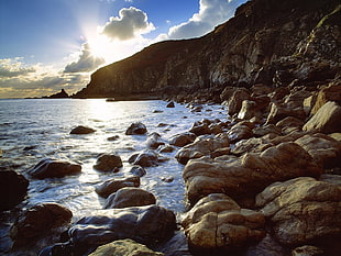 stone on seashore during daytime