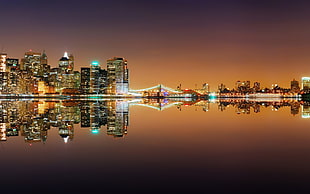 panoramic photography of city buildings, cityscape, reflection, New York City