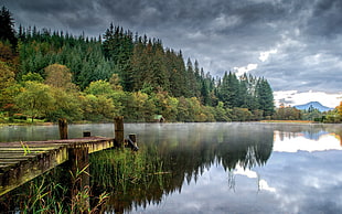 brown wooden dock, landscape, trees, lake HD wallpaper