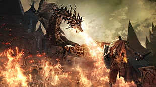 knight vs dragon illustration HD wallpaper