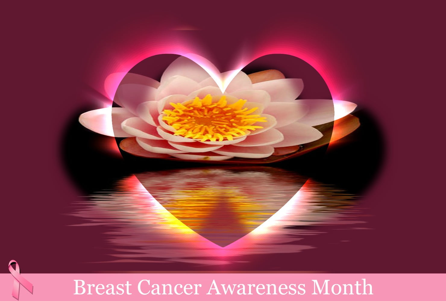 Breast cancer HD wallpapers  Pxfuel