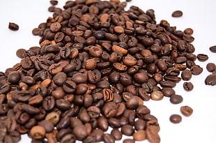 coffee beans on white surface