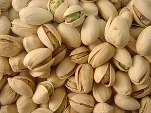 close up photo of pistachio nuts