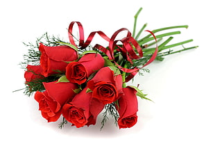 bouquet of red roses HD wallpaper