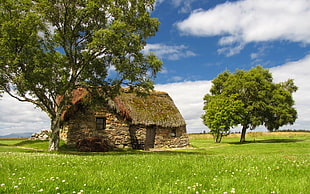 brown and gray stone house near two trees in grass field