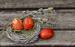 three oval shape eggs on top of nest HD wallpaper