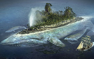 body of water, whale