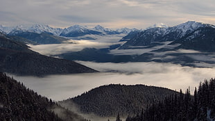 fog covering mountain, mountains, landscape, nature, clouds