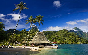 brown nipa hut, landscape