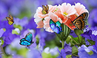 close-up photography butterflies in flight above petaled flowers HD wallpaper