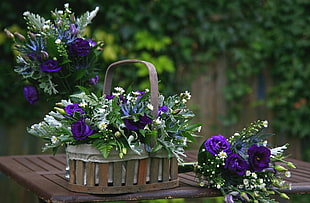 purple petaled flowers in brown baskets
