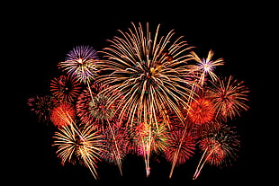 red and brown fireworks display