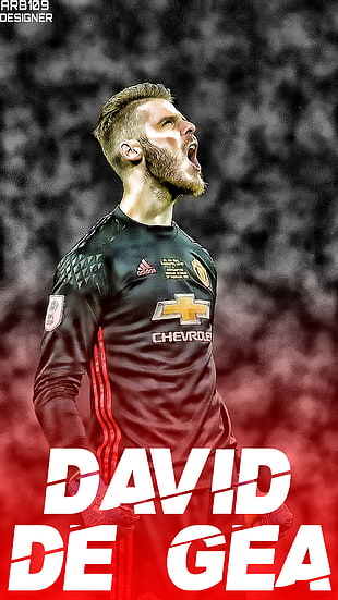 David de Gea digital wallpaper, sports, players, David de Gea, soccer