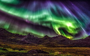 aurora lights, nature, landscape, aurorae, mountains