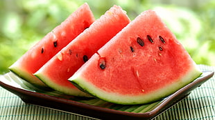 food photography of three sliced Watermelons HD wallpaper