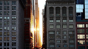 gray concrete high-rise building, Chicago, building, Sun, architecture HD wallpaper