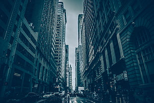 concrete building, Skyscrapers, Street, City