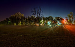 landscape, lights, night HD wallpaper