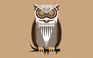 gray and brown owl illustration, owl HD wallpaper
