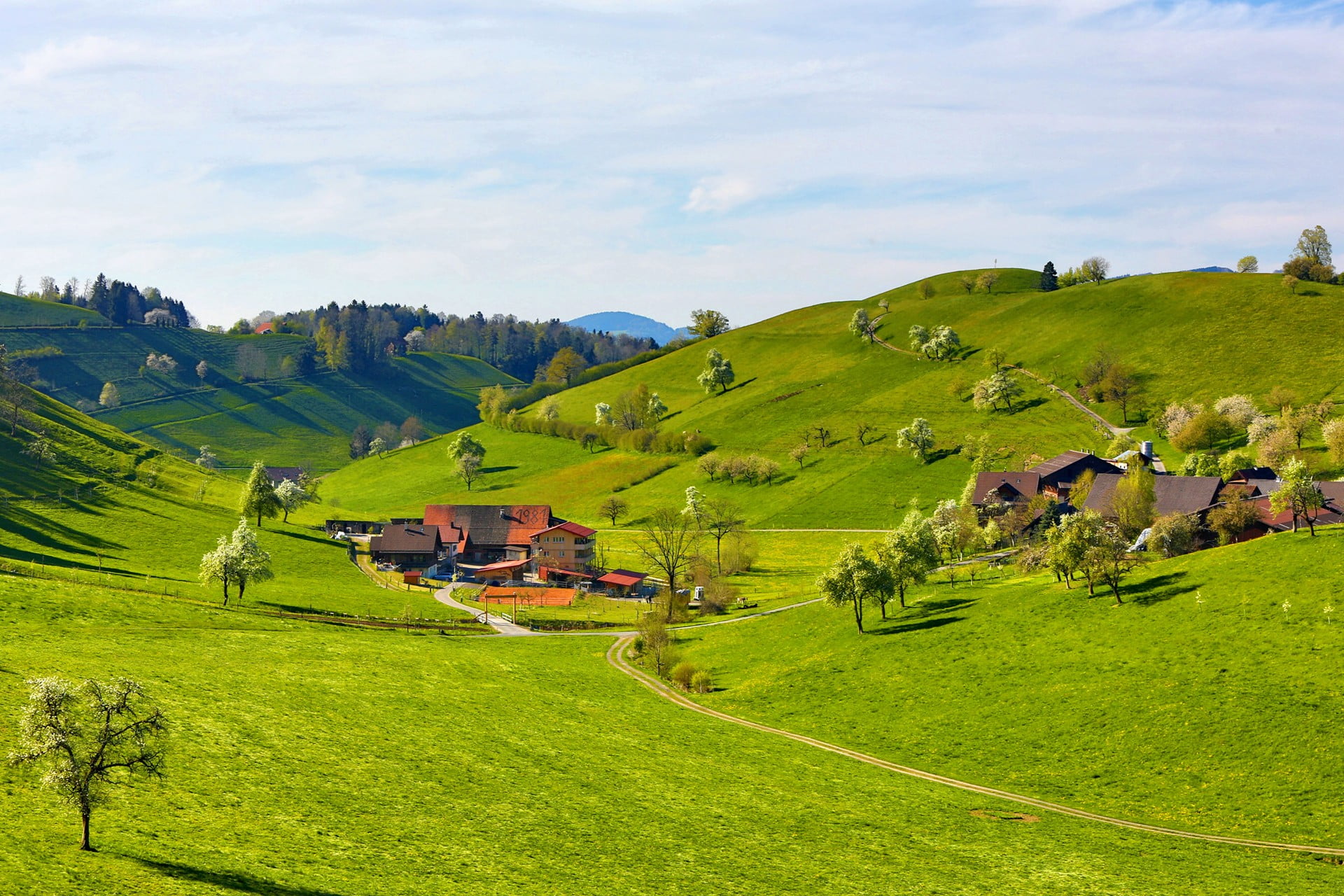 green grass field, nature, landscape, green, field