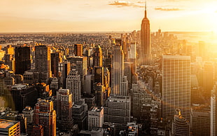 Empire State Building, city, New York City, cityscape HD wallpaper