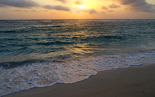 seawave under golden hour, Aruba, beach, sea, sky HD wallpaper