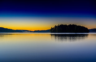 landscape photography of silhouette of trees during sunset