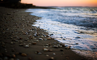 white and blue floral textile, beach, pebbles, sea, depth of field