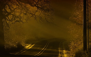 concrete road with no cars during nighttime HD wallpaper