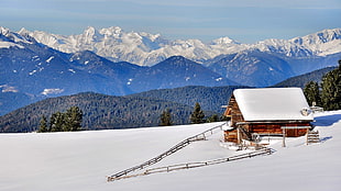 brown wooden house, nature