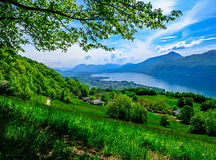 green grass filed near lake with mountain background under cloudy sky during daytime