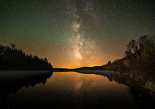 green trees, forest, landscape, lake