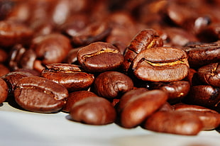 brown coffee beans HD wallpaper