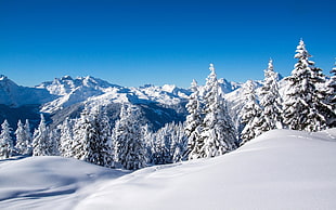 white and black concrete building, landscape, mountains, snow, forest