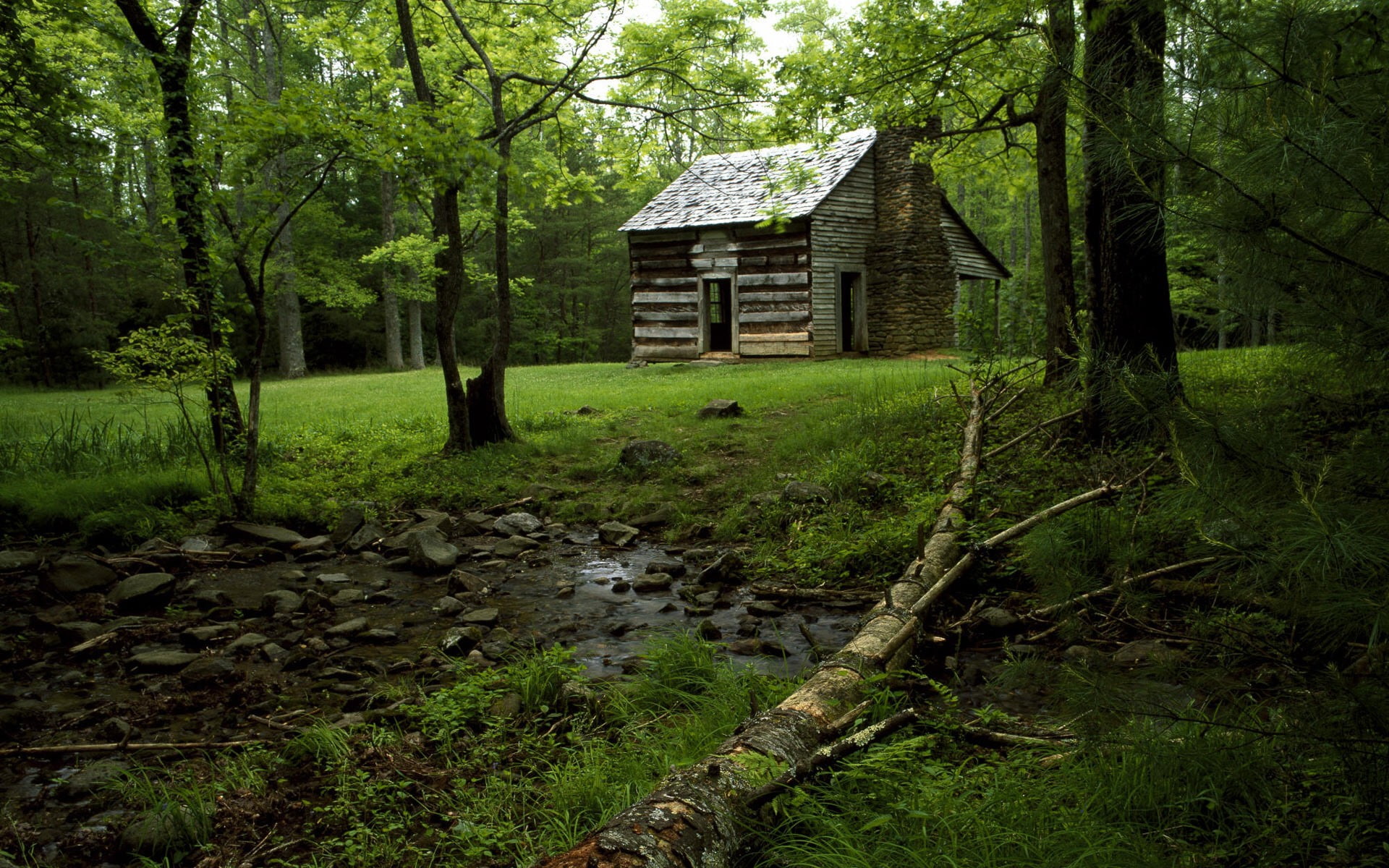 brown and beige wood cabin, landscape, nature, hut, ruin