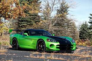 green super car near tree