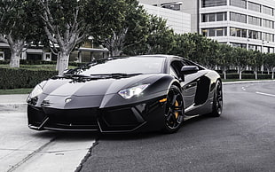 photo of black Lamborghini sports coupe parked on asphalt road near trees during daytime